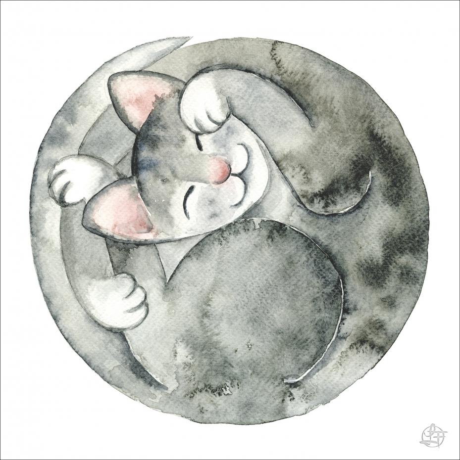 Bildverkstad Sleeping Cat Poster
