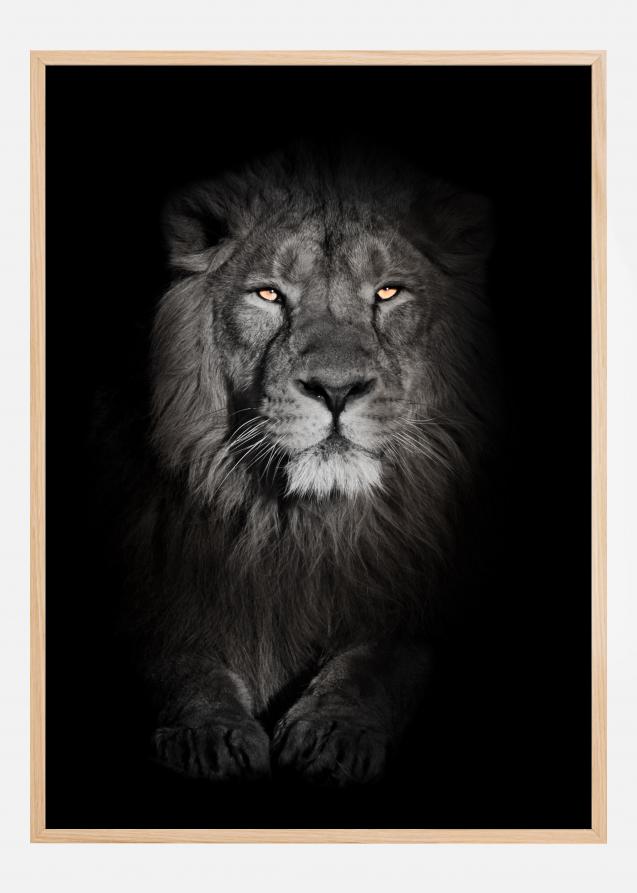 Bildverkstad Lion in black and white Poster