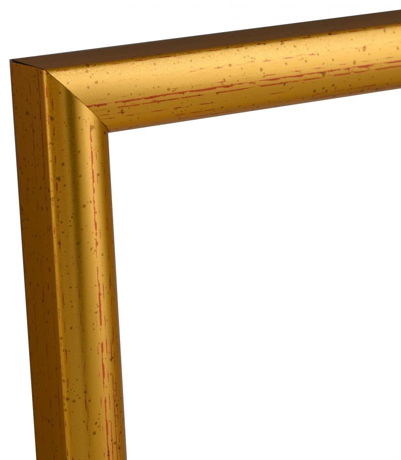 Estancia Frame Newline Gold 13x18 cm