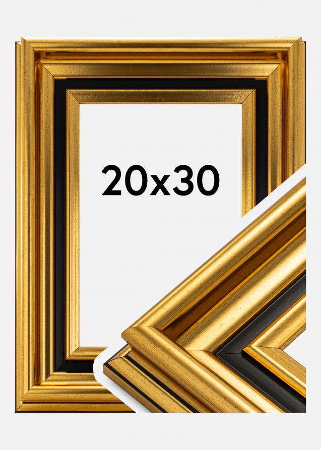 Ramverkstad Frame Gysinge Premium Gold 20x30 cm