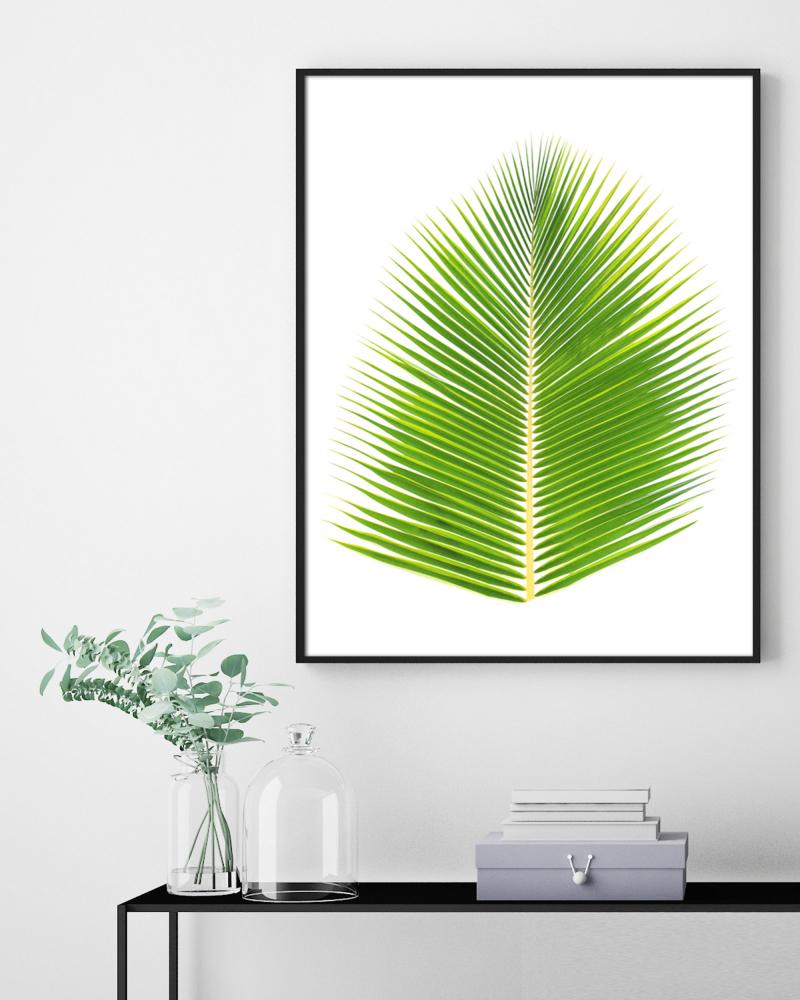 Estancia Palm leaf - 50x70 cm