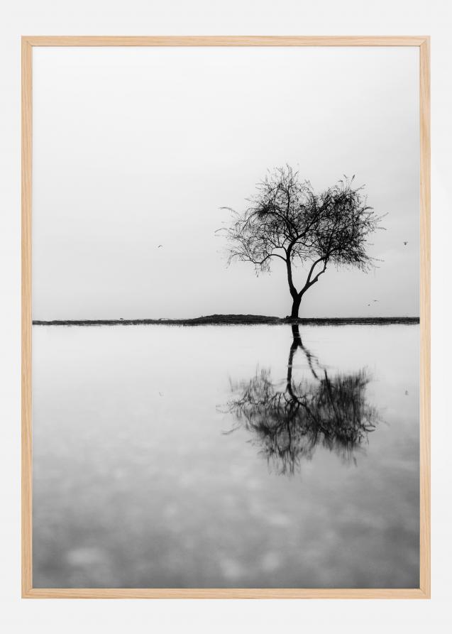 Bildverkstad Lonely Tree Reflection Poster
