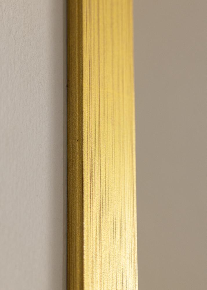 Galleri 1 Frame Falun Acrylic glass Gold 21x29.7 cm (A4)