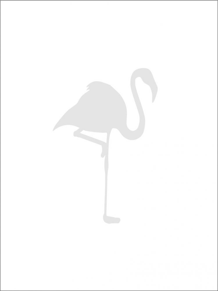 Bildverkstad Flamingo - Grey