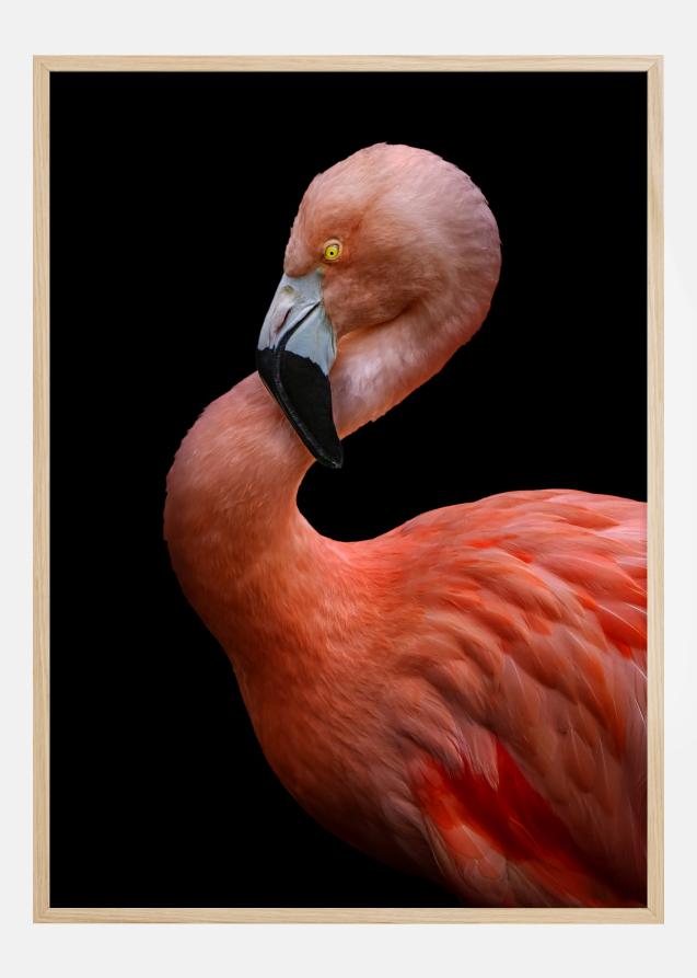 Bildverkstad Flamingo at night Poster