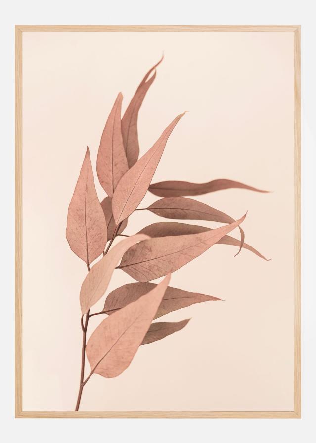 Bildverkstad Dried Eucalyptus Poster