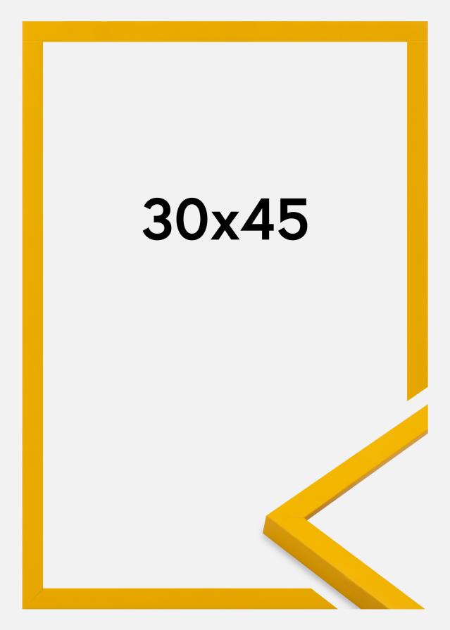 Jämtlands Ramfabrik Frame Kent Acrylic Glass Gold 30x45 cm