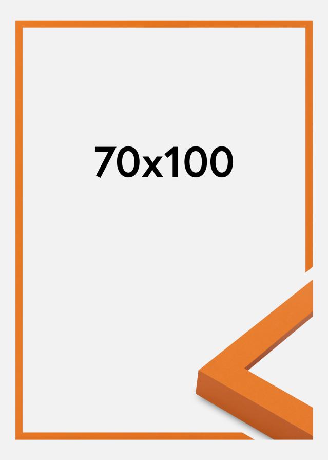 Jämtlands Ramfabrik Frame Selection Acrylic Glass Orange 70x100 cm