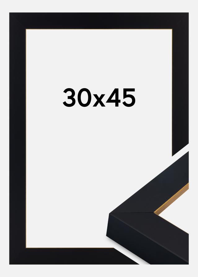 Jämtlands Ramfabrik Frame Sussex Acrylic Glass Black/Gold 30x45 cm