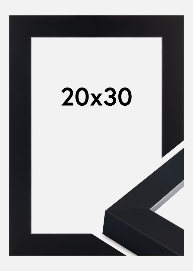 Jämtlands Ramfabrik Frame Sussex Acrylic Glass Black/Silver 20x30 cm