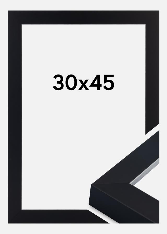 Jämtlands Ramfabrik Frame Sussex Acrylic Glass Black/Silver 30x45 cm