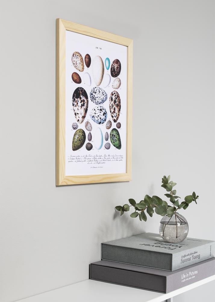 Ram med passepartou Frame Trendline Nature 60x60 cm - Mounts White 50x50 cm