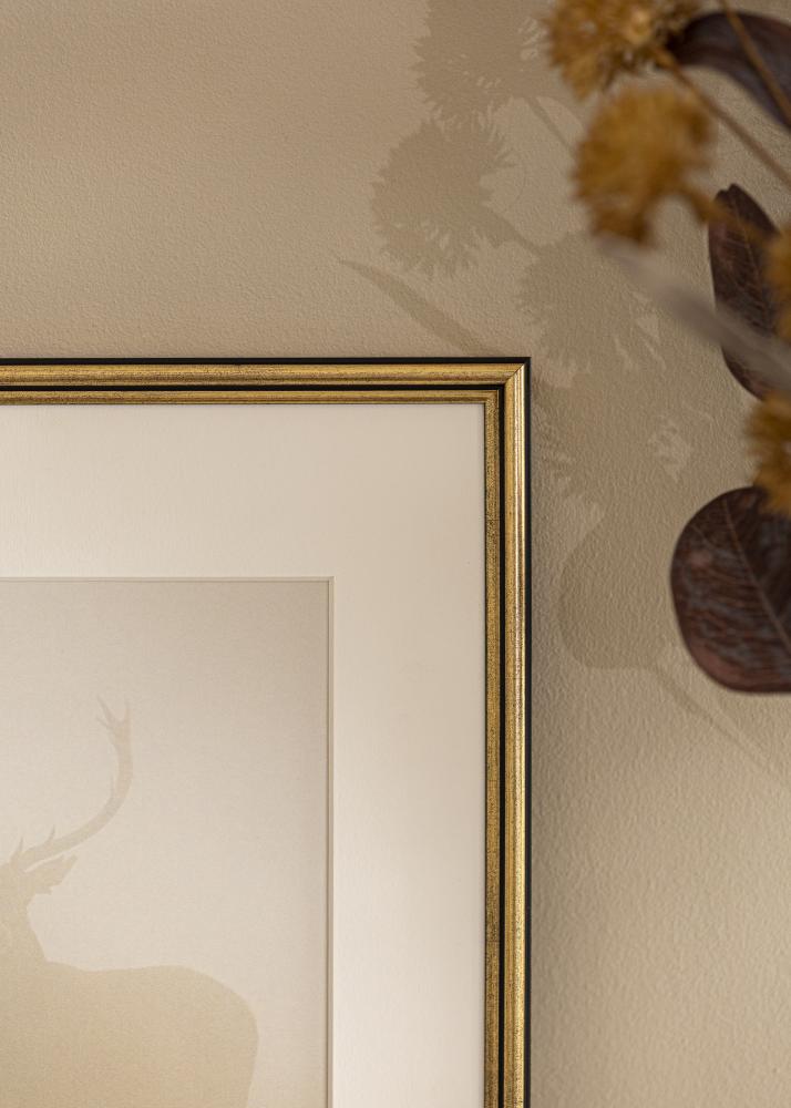 Galleri 1 Frame Horndal Acrylic Glass Gold 7x10 cm