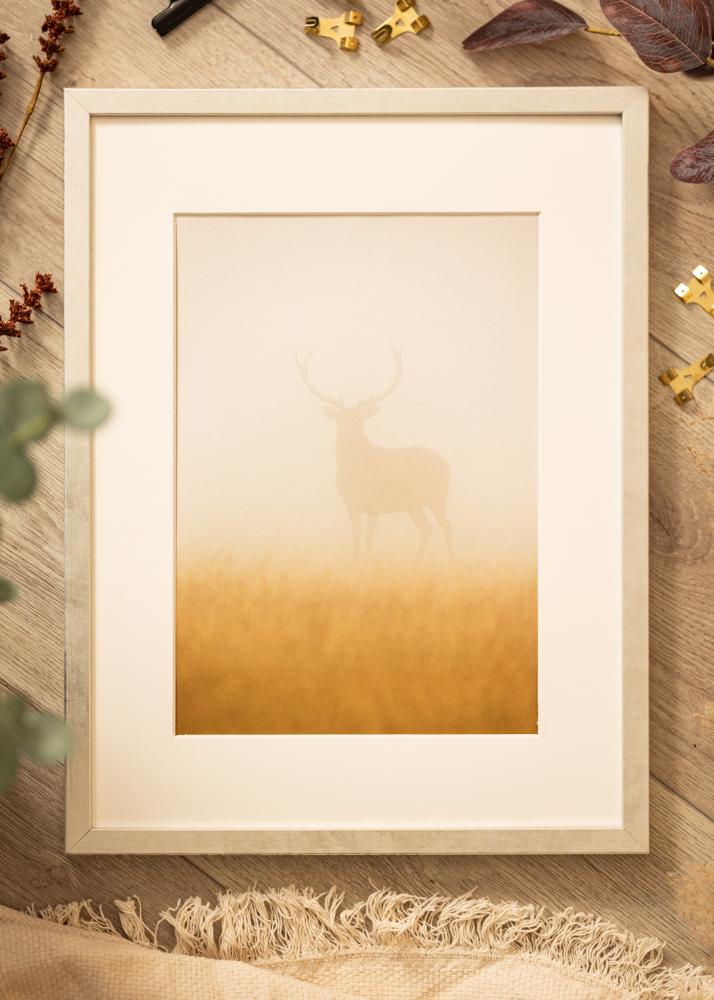 Ram med passepartou Frame Ares Silver 24x30 cm - Mounts White 7x9 inches