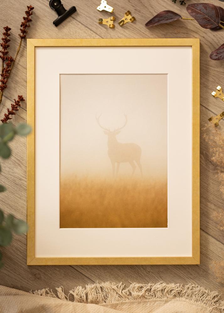Ram med passepartou Frame Ares Gold 50x60 cm - Mounts White 16x20 inches