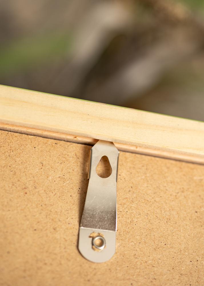 Ram med passepartou Frame Diana Light Green 60x80 cm - Mounts White 20x27 inches