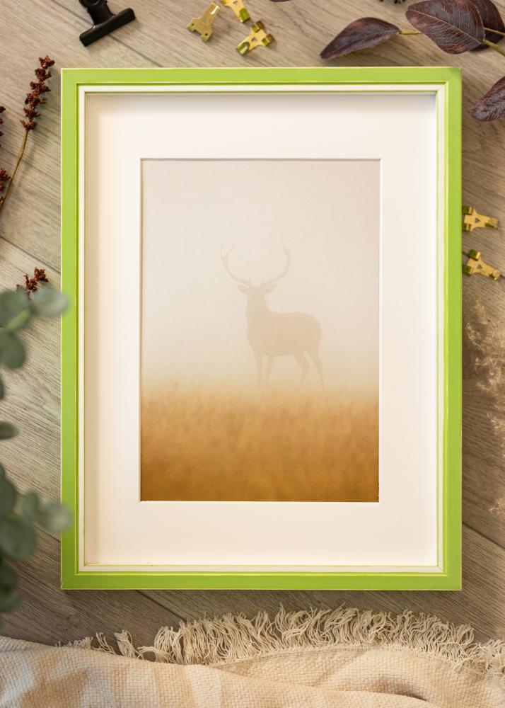 Ram med passepartou Frame Diana Light Green 60x80 cm - Mounts White 20x27 inches