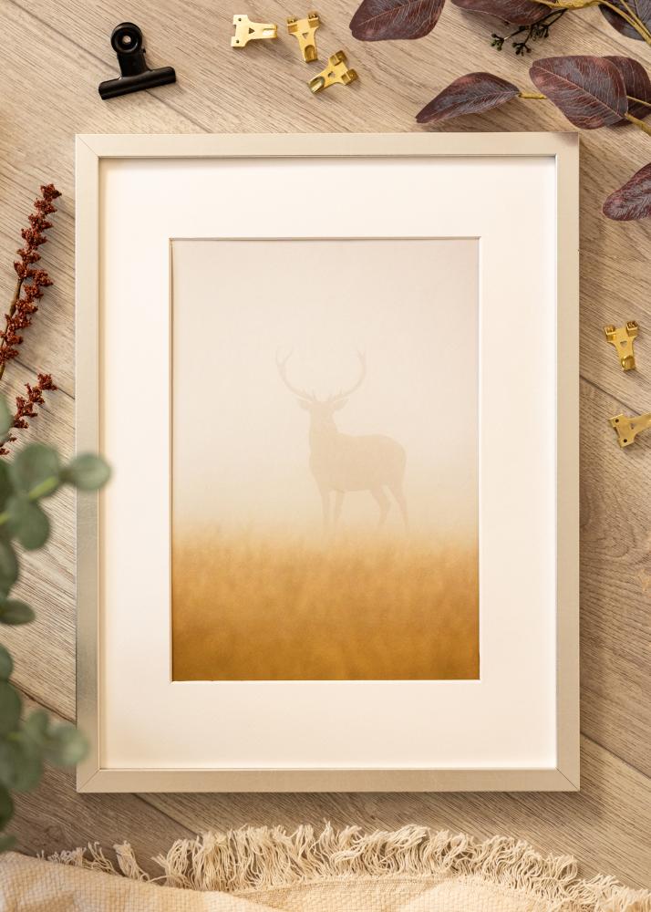 Ram med passepartou Frame Minerva Silver 30x40 cm - Mounts White 20x28 cm