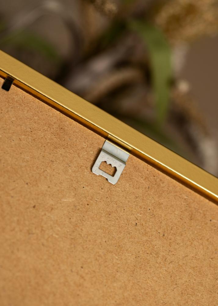 Ram med passepartou Frame Minerva Gold 40x50 cm - Mounts White 28x38 cm