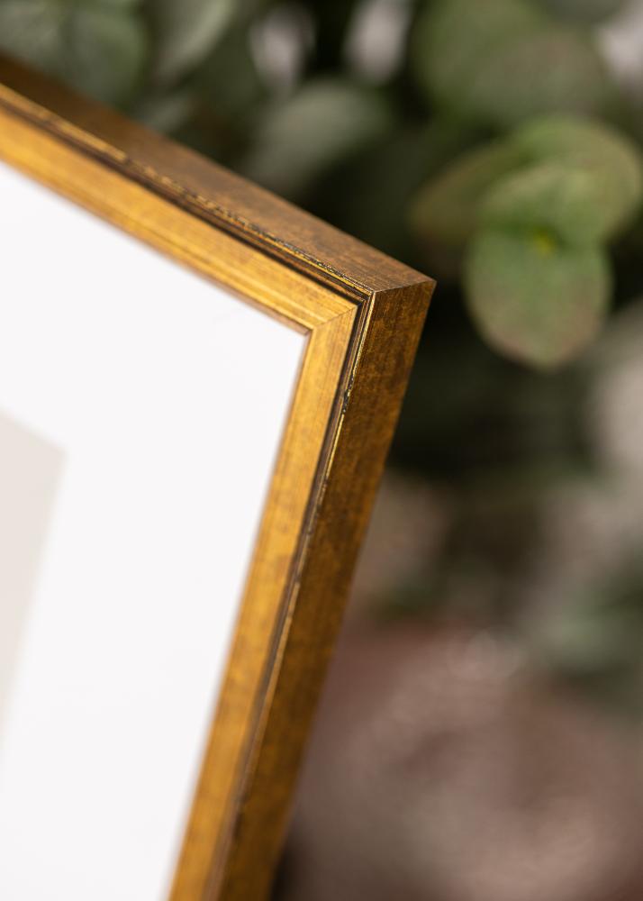 Jämtlands Ramfabrik Frame Ringa Acrylic Glass Gold 59,4x84,1 cm (A1)