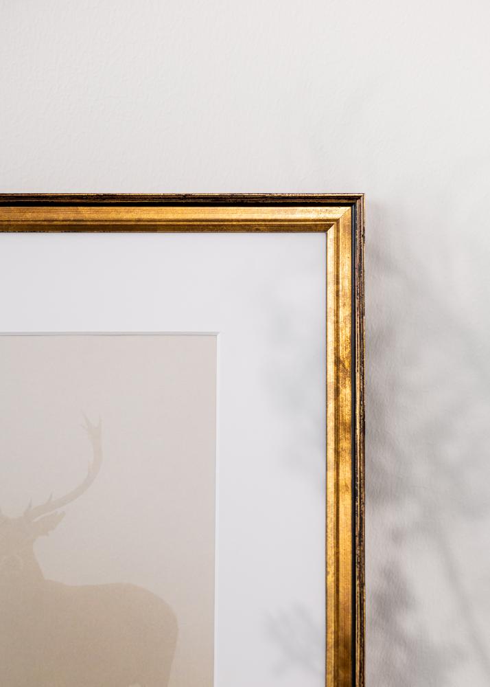 Jämtlands Ramfabrik Frame Ringa Acrylic Glass Gold 59,4x84,1 cm (A1)