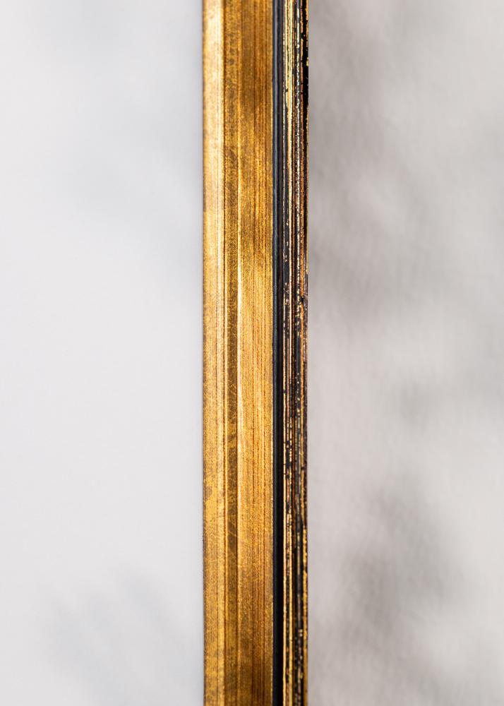 Jämtlands Ramfabrik Frame Ringa Acrylic Glass Gold 59,4x84,1 cm (A1)