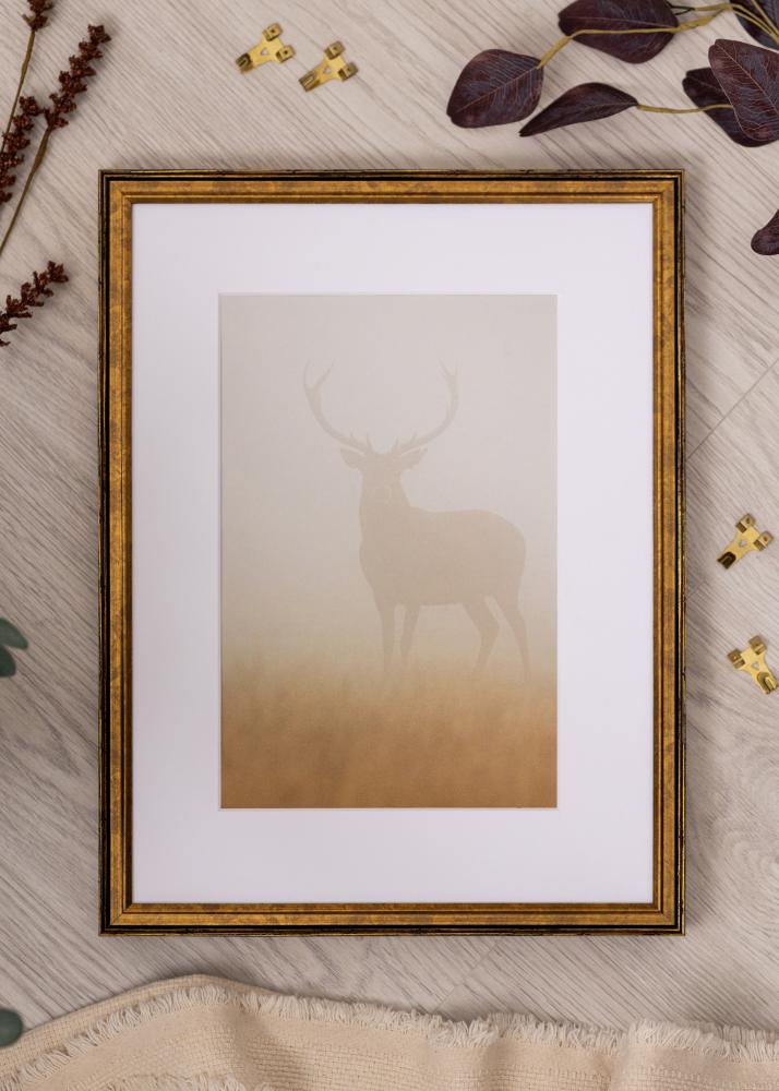 Jämtlands Ramfabrik Frame Ringa Acrylic Glass Gold 59,4x84,1 cm (A1)