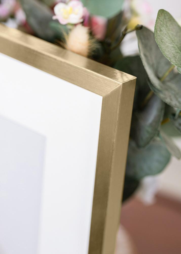 BGA Frame Trendy Acrylic Glass Gold 29.7x42 cm (A3)