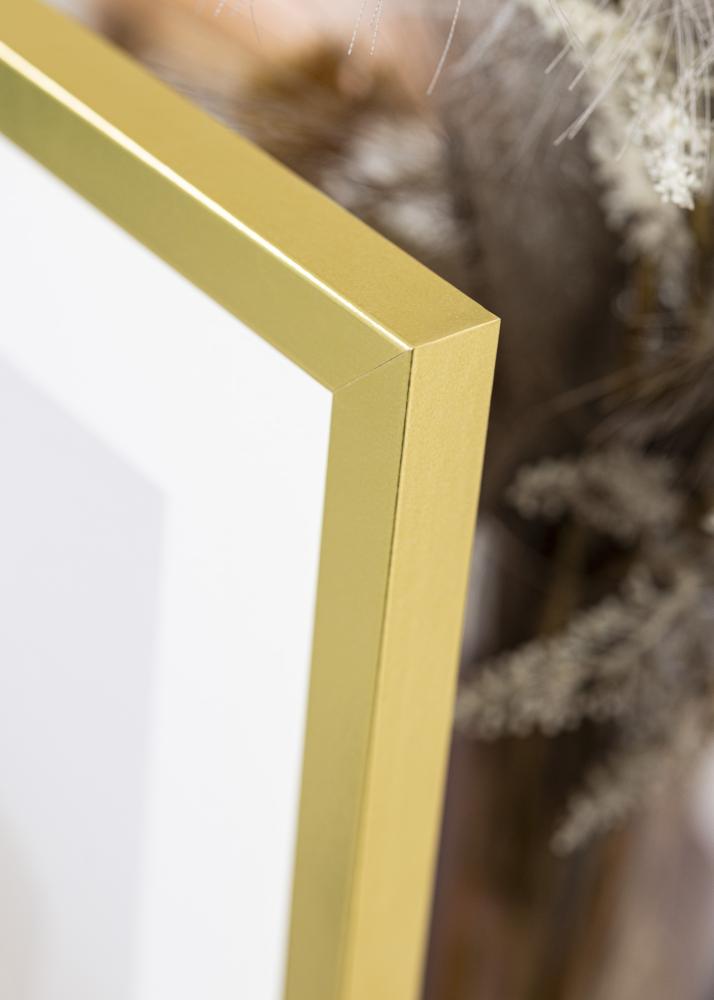 Innova Picture Frame Gold Wide 29,7 x 42 cm (A3)