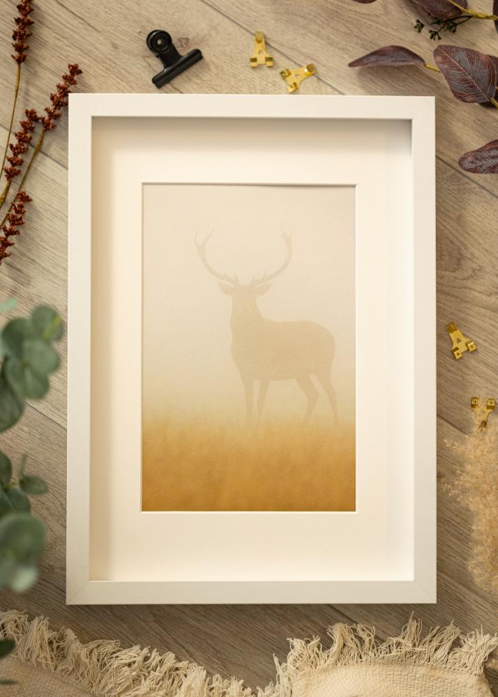 Ram med passepartou BGA Box Frame White 40x60 cm - Mounts White 32,9x48,3 cm