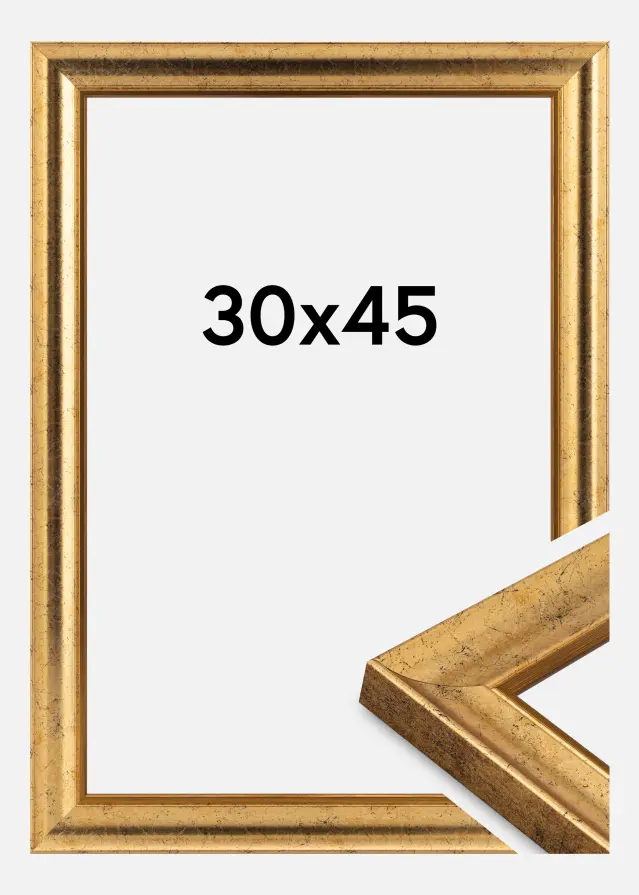 Jämtlands Ramfabrik Frame Conca Acrylic Glass Gold 30x45 cm