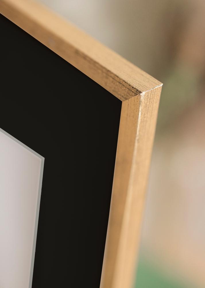 Ram med passepartou Frame Galant Gold 40x50 cm - Picture Mount Black 12x16 inches