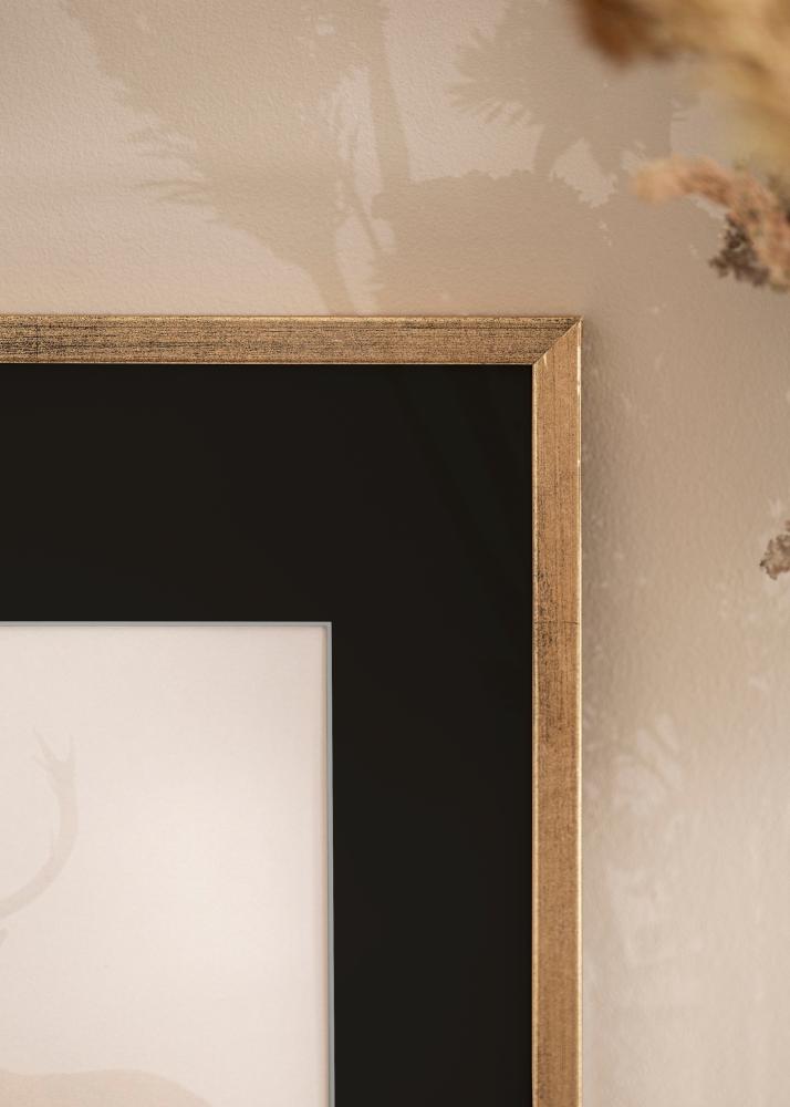 Ram med passepartou Frame Galant Gold 40x50 cm - Picture Mount Black 12x16 inches