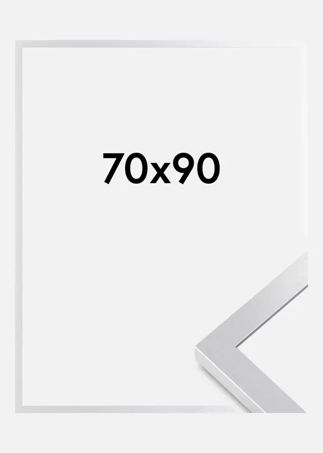 BGA Frame Selection Acrylic Glass Silver 70x90 cm