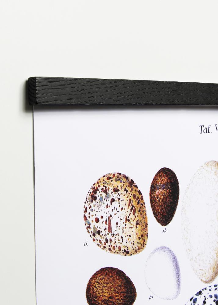 By Wirth Wall Sticks Magnets Black Oak 50 cm