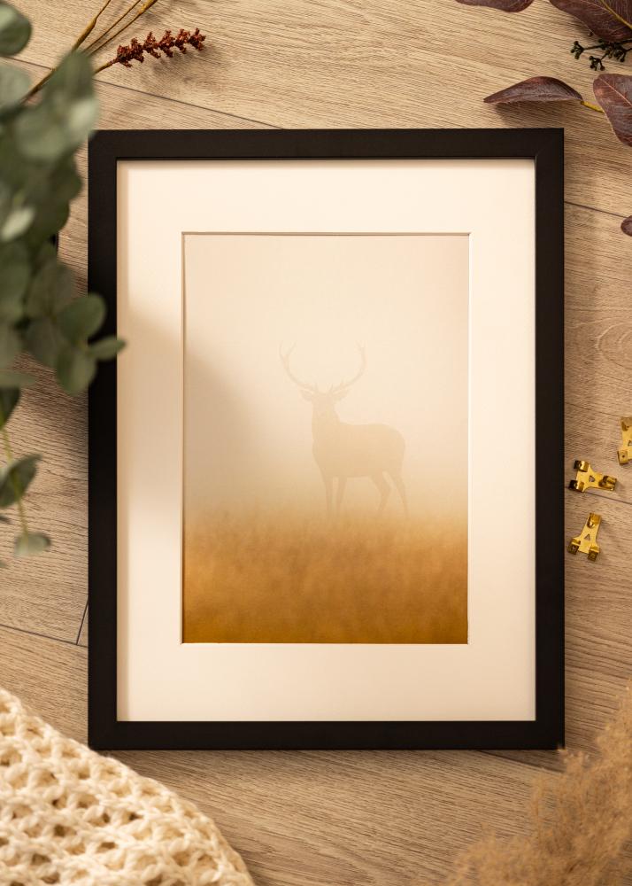 BGA Frame Deco Acrylic Glass Black 21x29.7 cm (A4)