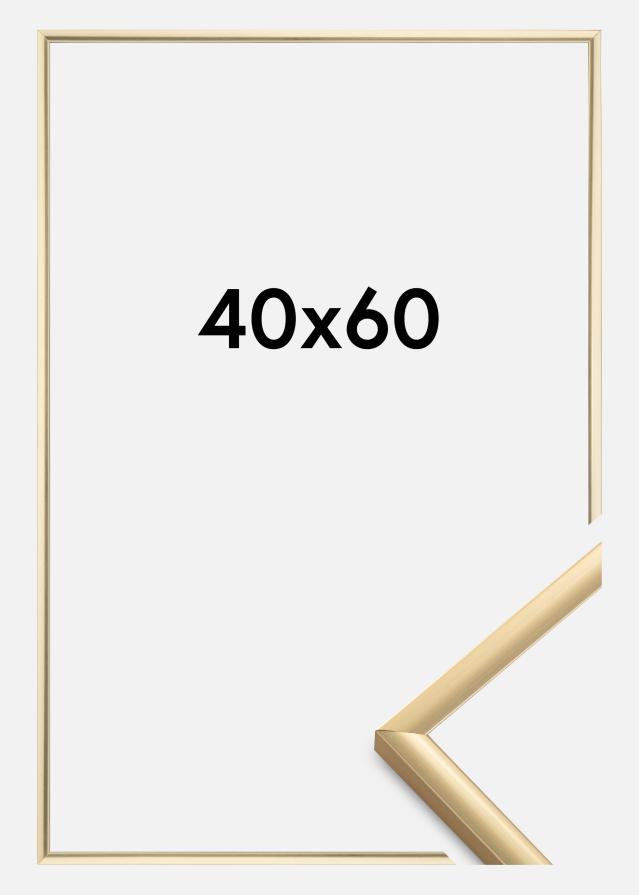 BGA Frame New Lifestyle Acrylic glass Gold 40x60 cm