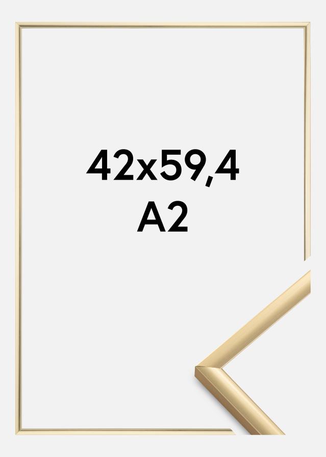 BGA Frame New Lifestyle Acrylic glass Gold 42x59,4 cm (A2)