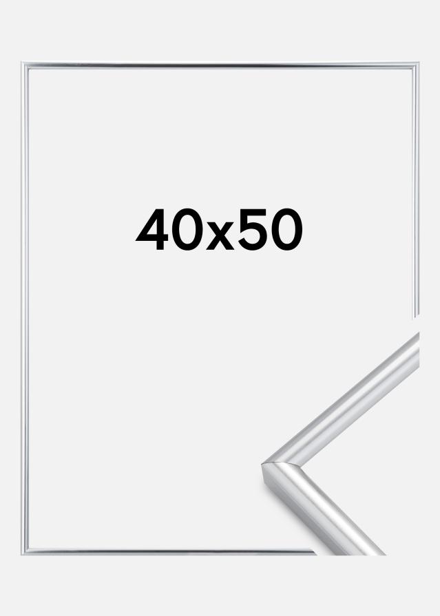 Walther Frame Galeria Silver 40x50 cm