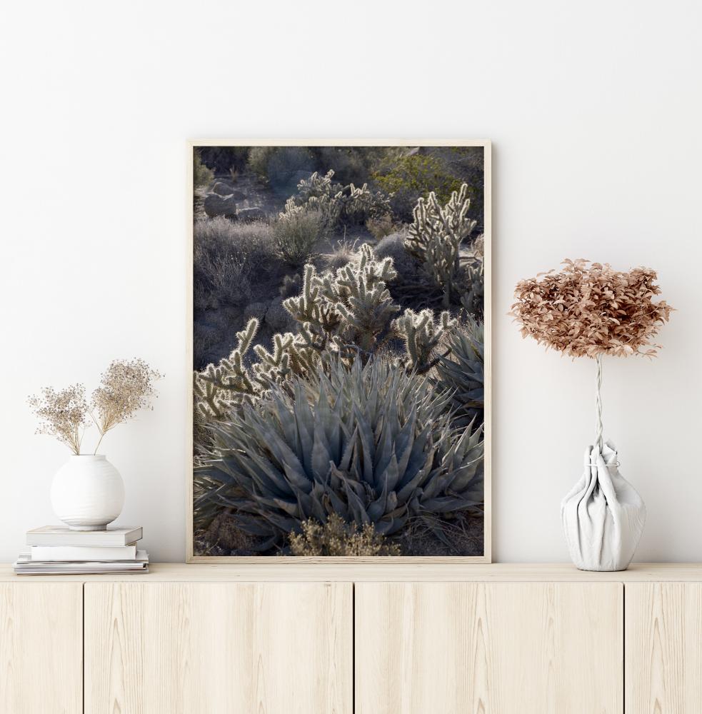 Bildverkstad Cactus In Desert Poster