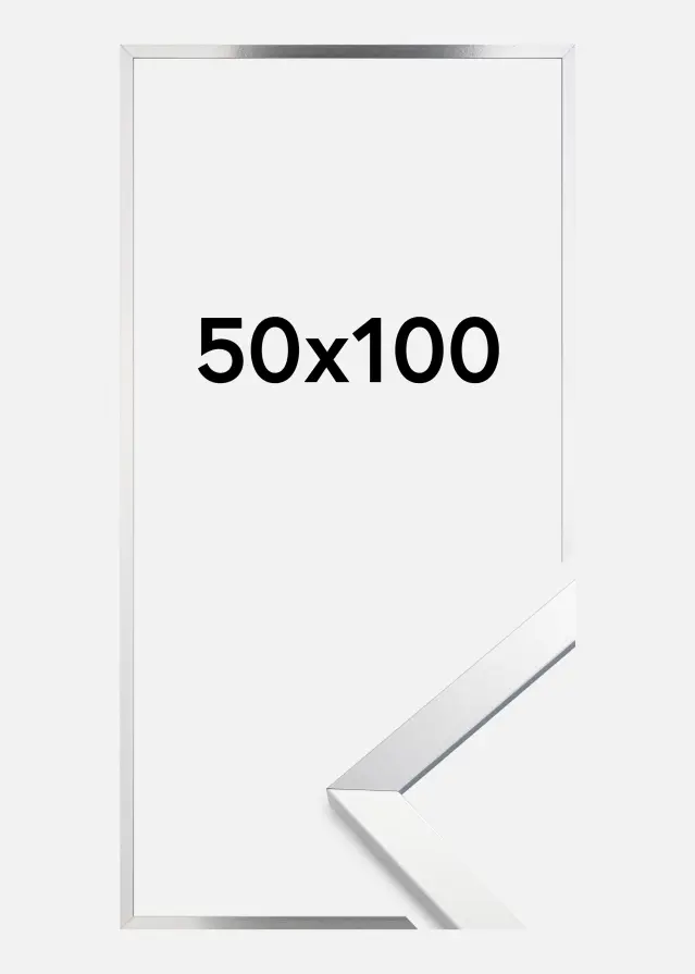 Artlink Frame Trendy Acrylic Glass Silver 50x100 cm