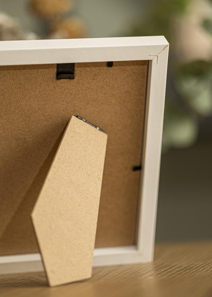 BGA Frame Selection Acrylic Glass White 13x18 cm