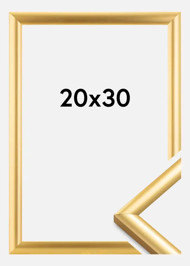 Walther Frame Trendstyle Gold 20x30 cm