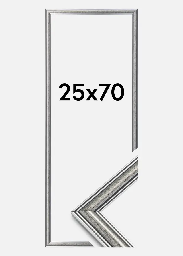 Artlink Frame Frigg Silver 25x70 cm