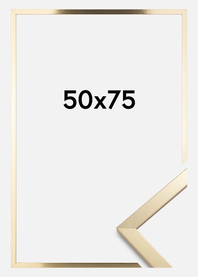 Artlink Frame Trendy Acrylic Glass Gold 50x75 cm