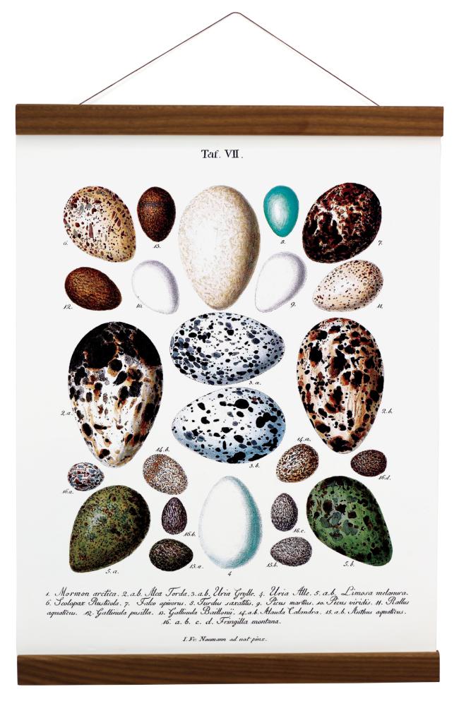 Estancia Poster hangers Walnut - 30 cm