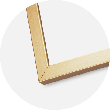 Mavanti Frame Minerva Acrylic Glass Gold 40x60 cm