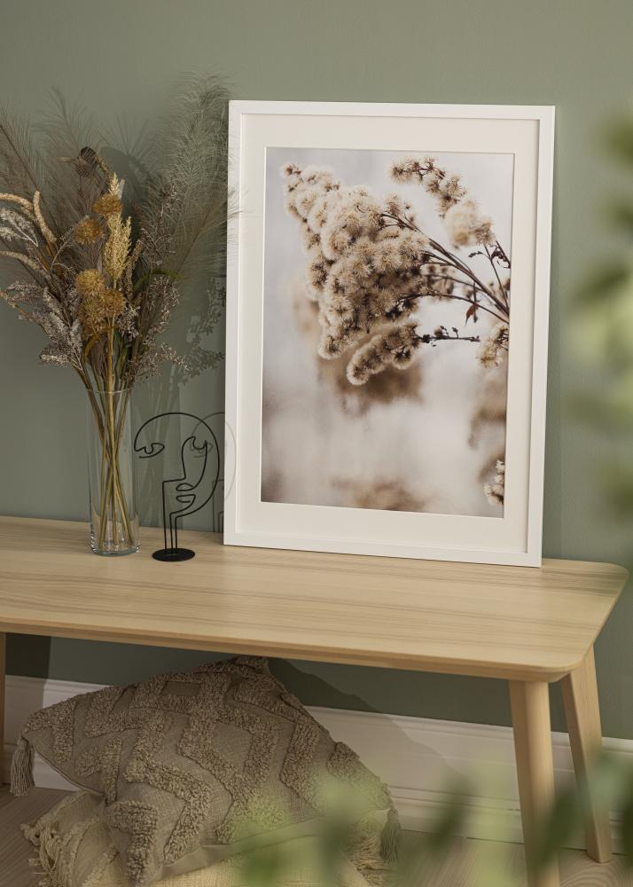 Galleri 1 Frame White Wood Acrylic glass 20x40 cm