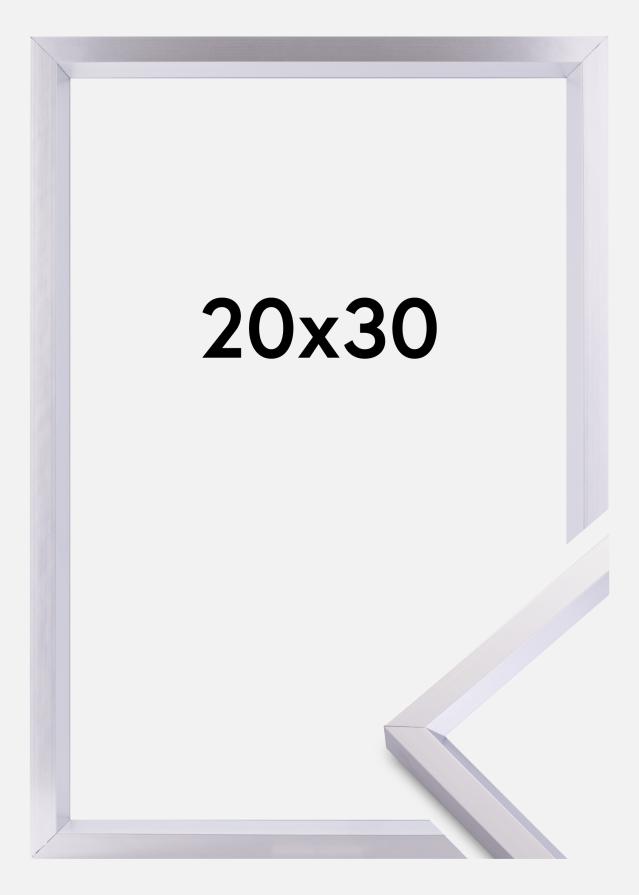 Walther Frame Steel Style Silver 20x30 cm