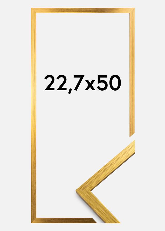 Galleri 1 Frame Edsbyn Gold 22,7x50 cm